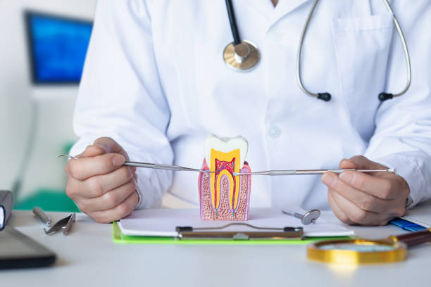 Best Chipped Tooth Repair Near Me  in Emsworth, PA